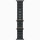 Apple Watch Ultra 2 - 49mm - GPS + Cellular - Differenzbesteuert §25a (UStG) - Hervorragend Titanium - Ocean Armband Black