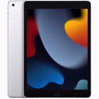 Apple iPad 9. Generation (2021) - 256GB - 10,2" - WIFI + LTE - Differenzbesteuert §25a (UStG) - Hervorragend